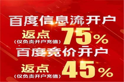 谷歌竞价优化：实战案例分析及策略
